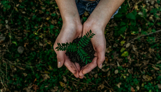 Eco-Friendly Travel: Sustainable Practices and Products for Conscious Explorers